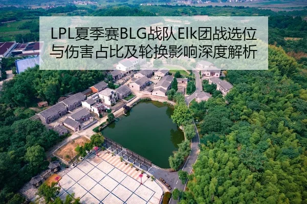LPL夏季赛BLG战队Elk团战选位与伤害占比及轮换影响深度解析